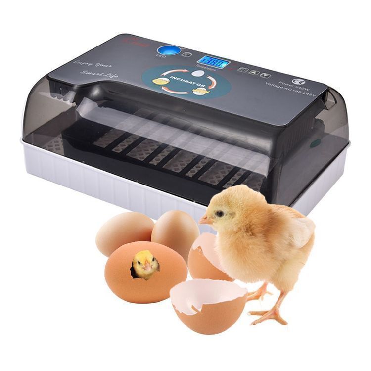 自動孵卵器 インキュベーター 鳥類 ふ卵器 鶏 にわとり ウズラ あひる 鴨 自動転卵 孵化器 24個入卵 ヒヨコ生まれ 大容量 自動温度制御 kkk