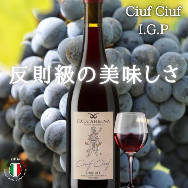 亜硫酸無添加 フルボディ 赤ワイン チュフ チュフ イタリア ウンブリア