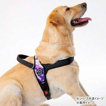 ペット TRE