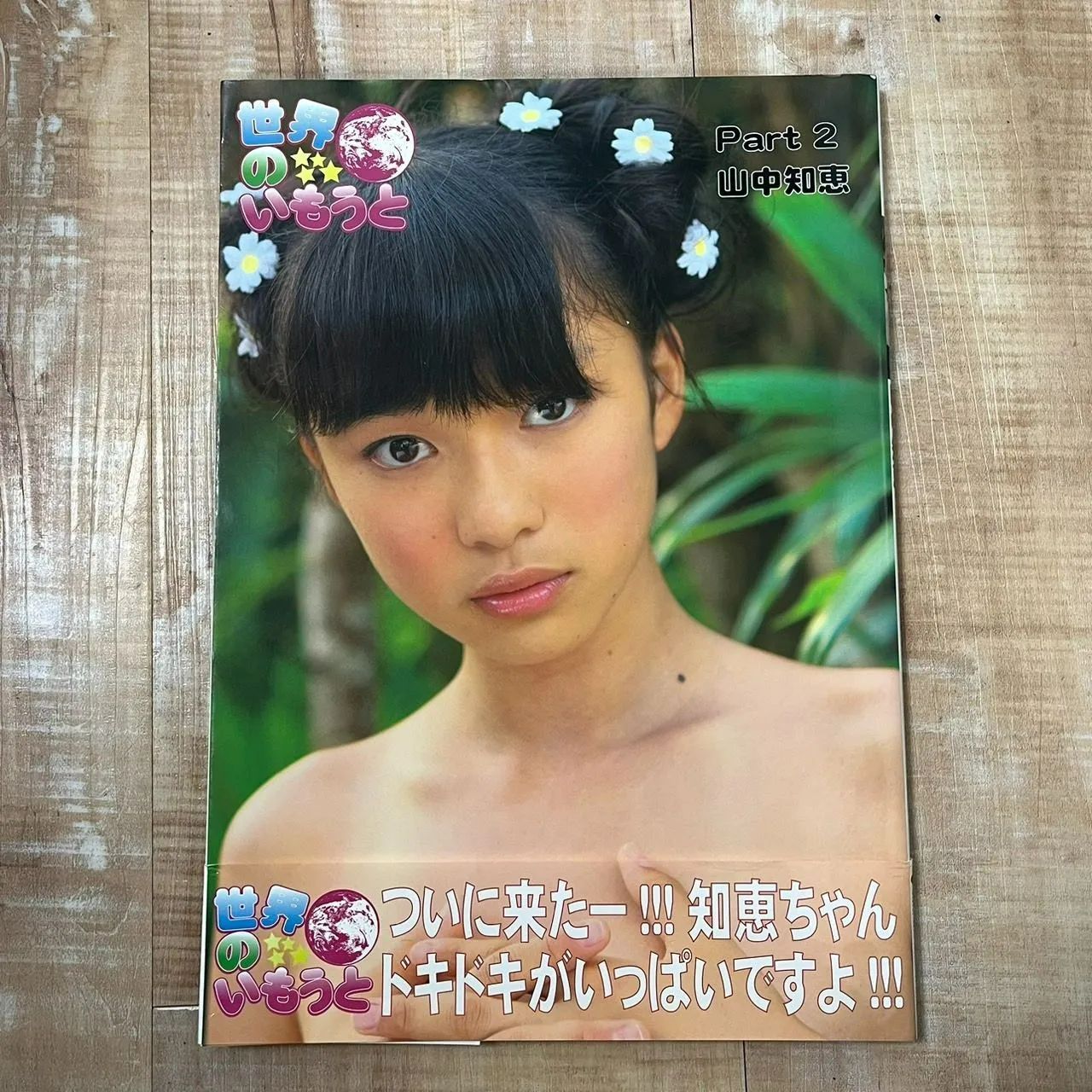 山中知恵 写真集　世界の妹 Part2　●美品● 山中知恵 写真集 世界の妹 Part2 ○美品○