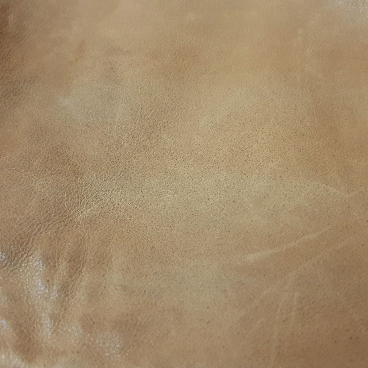 ラルフローレン　レザージャケット　レディース　ブラウン　Size7 レザー ブラウン（茶色）系 Ralph Lauren(ラルフローレン