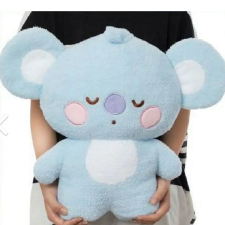 BTS BT21 たっとん ぬいぐるみ ねとん Lサイズ KOYA - メルカリ