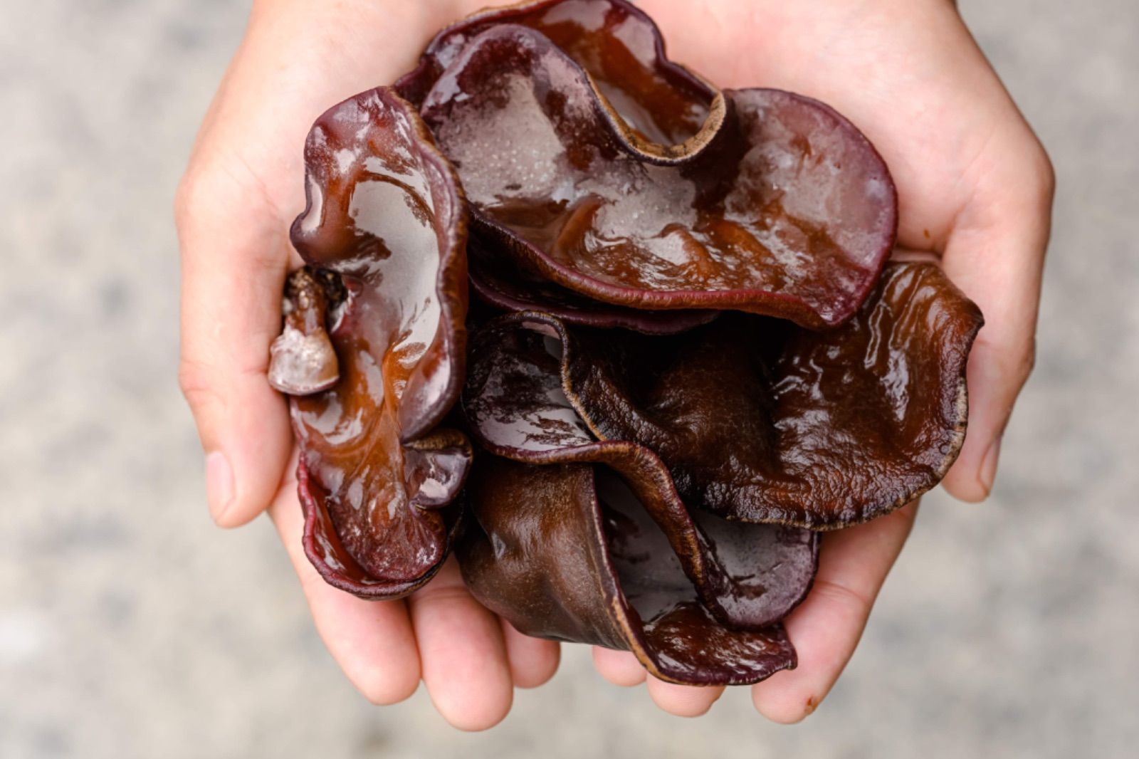 農家直送】生きくらげ800g 純国産無農薬 - メルカリ