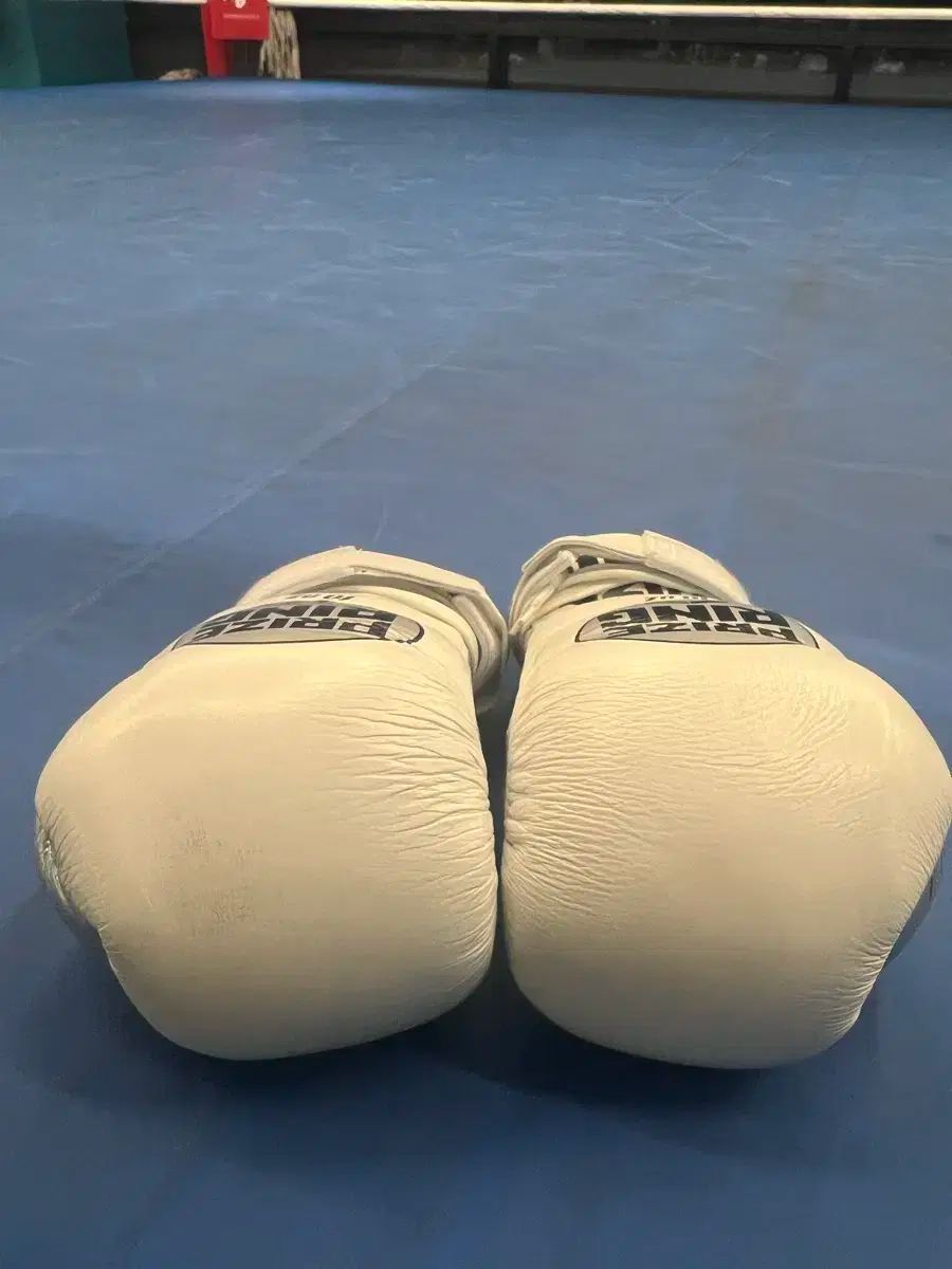 六車卓也 VS ￼ 朴讃￼栄 WBA世界バンタム級選手権 パンフレット