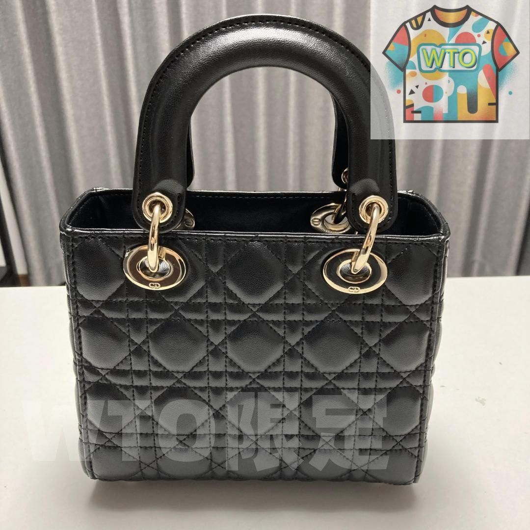 Christian Dior レディディオール 2way ショルダーバッグ-WTO