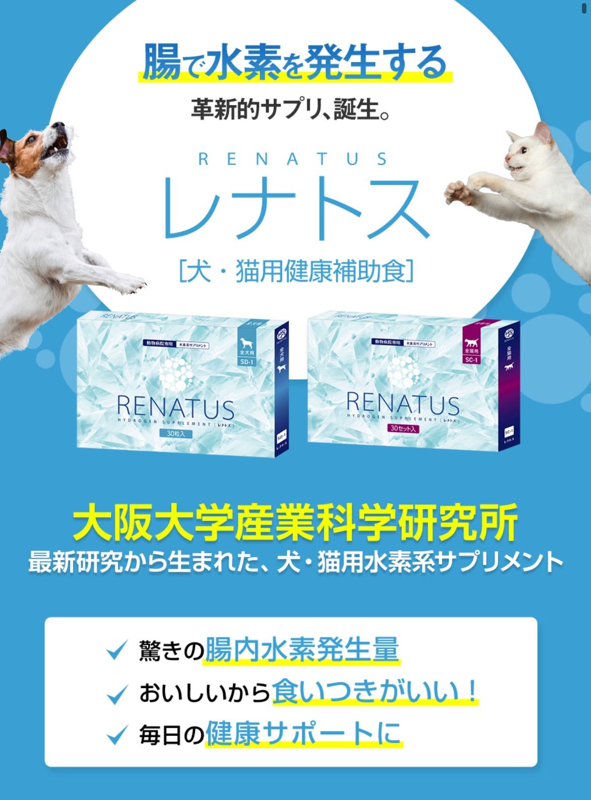 RENATUS レナトス 全犬用 犬用総合サプリ 水素サプリ ペットサプリ