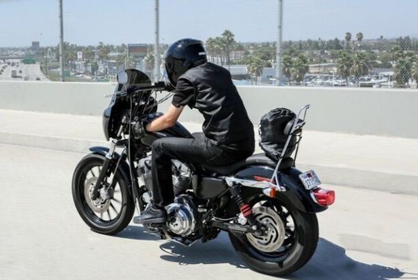 送料無料 ハーレー XL883 1200X|R|C|N X48 72 対応 20インチ スポーツ後部背もたれ＆キャリア クローム|ブラック選択可