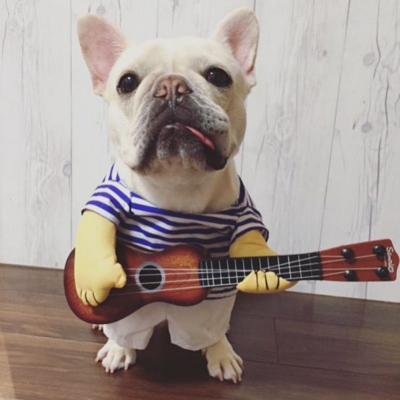 L犬猫の服 ハロウィン仮装ギタリスト♡中型犬 コスプレ変装