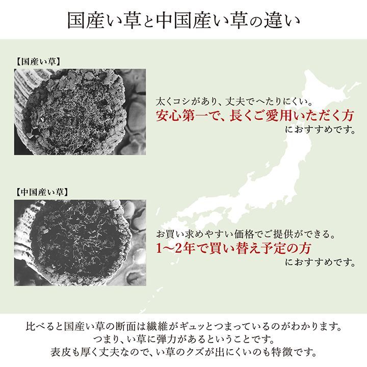 BIK1014905 廊下 敷 敷き 日本製 国産 純国産 い草 防臭 抗菌 モダン