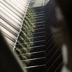 訳あり静岡茶100g×3本 茎入茶葉 お茶 緑茶 2024年産