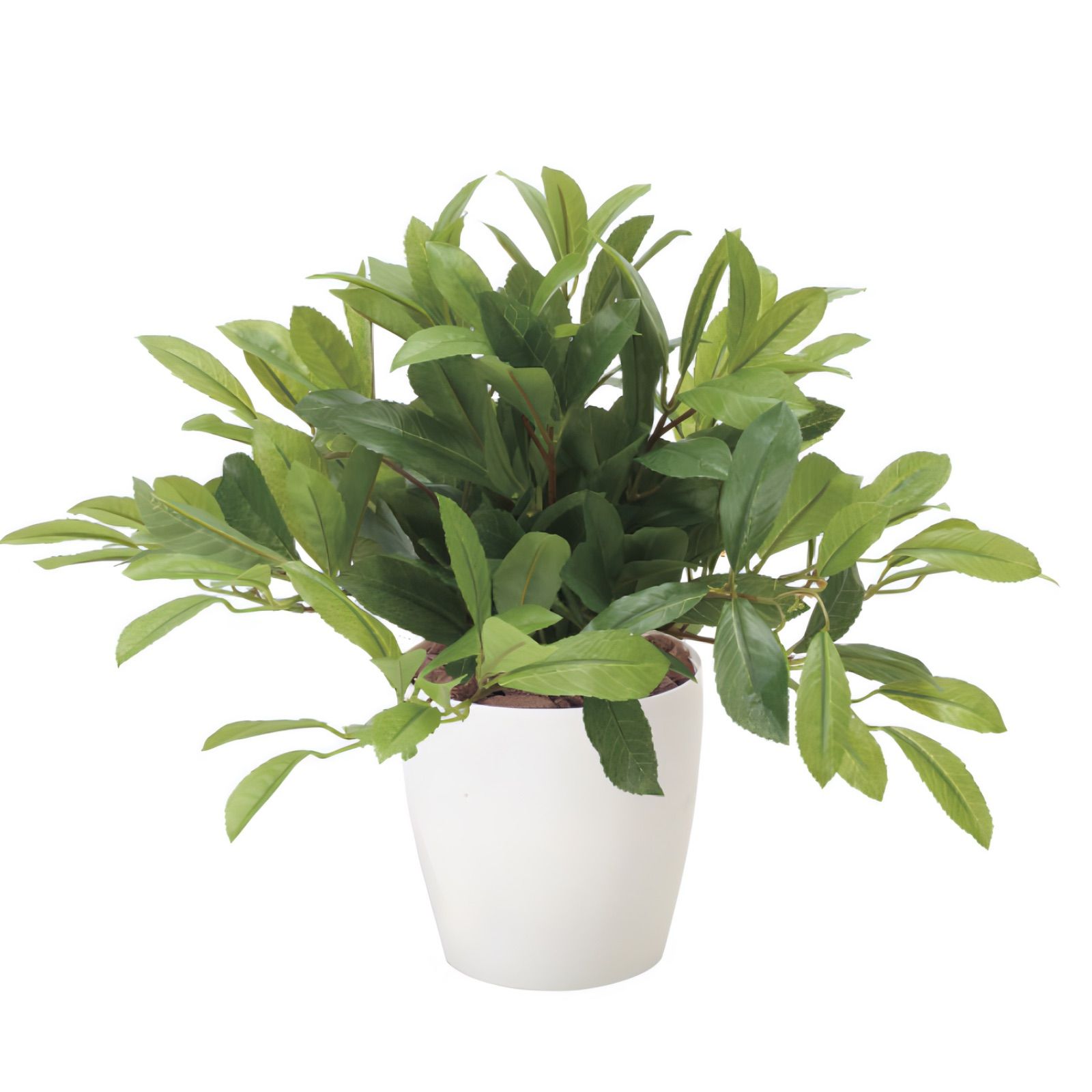 光触媒 人工観葉植物 ウォールグリーン フェイクグリーン アレカヤシ