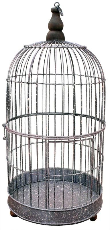 THE NORTH FACE ザ・ノース・フェイス スクープジャケット