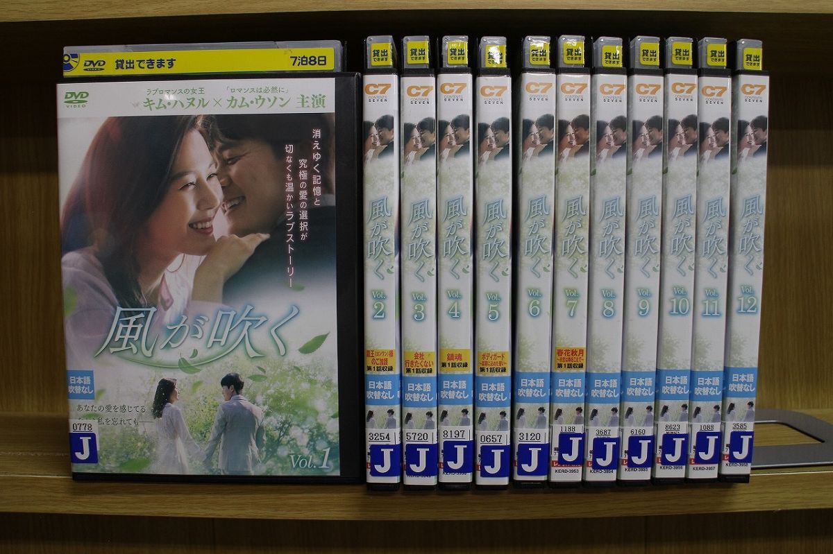 DVD 風が吹く 全12巻 キム・ハヌル カム・ウソン ※ケース無し