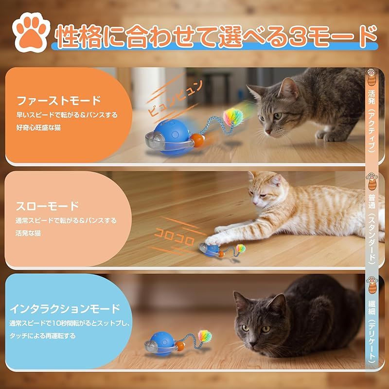 掛軸　水鶏(くいな) 渡辺清作　鑑定箱書付　共箱　紙箱　S936KJ 掛軸 水鶏(くいな) 渡辺清作 鑑定箱書付 共箱 紙箱 S936KJ 掛軸