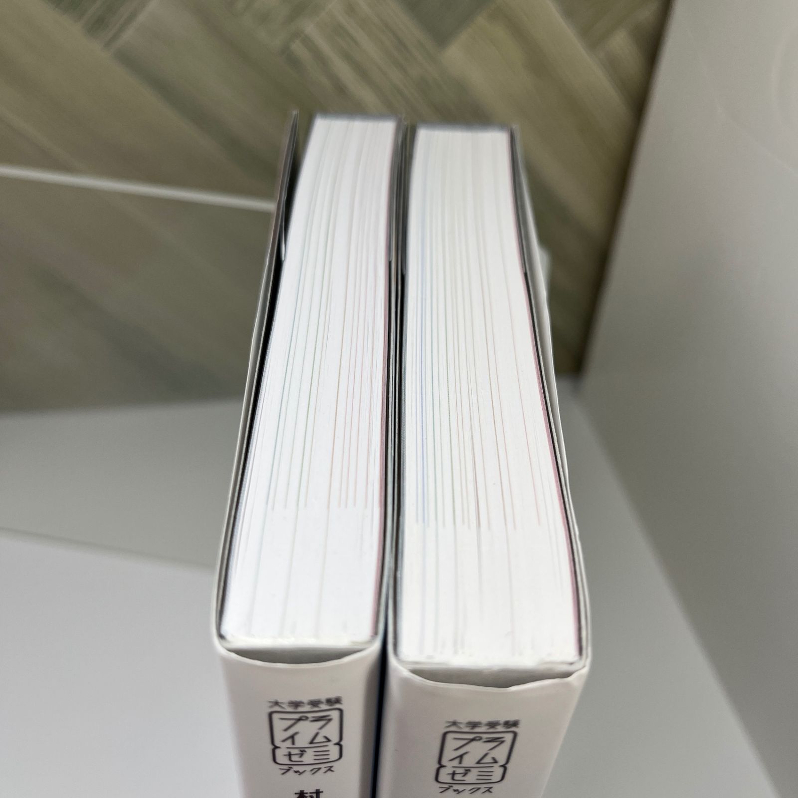 村瀬のゼロからわかる地理B 系統地理編 書込み無し