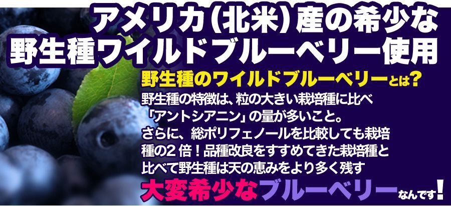 野生種★ワイルドブルーベリー大容量１ｋｇ≪常温≫SM00010048
