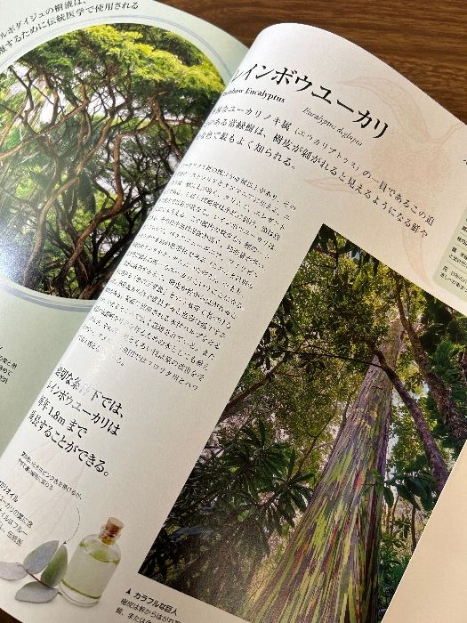 樹木の世界 大図鑑 河出書房新社 クリス・クレネット - メルカリ