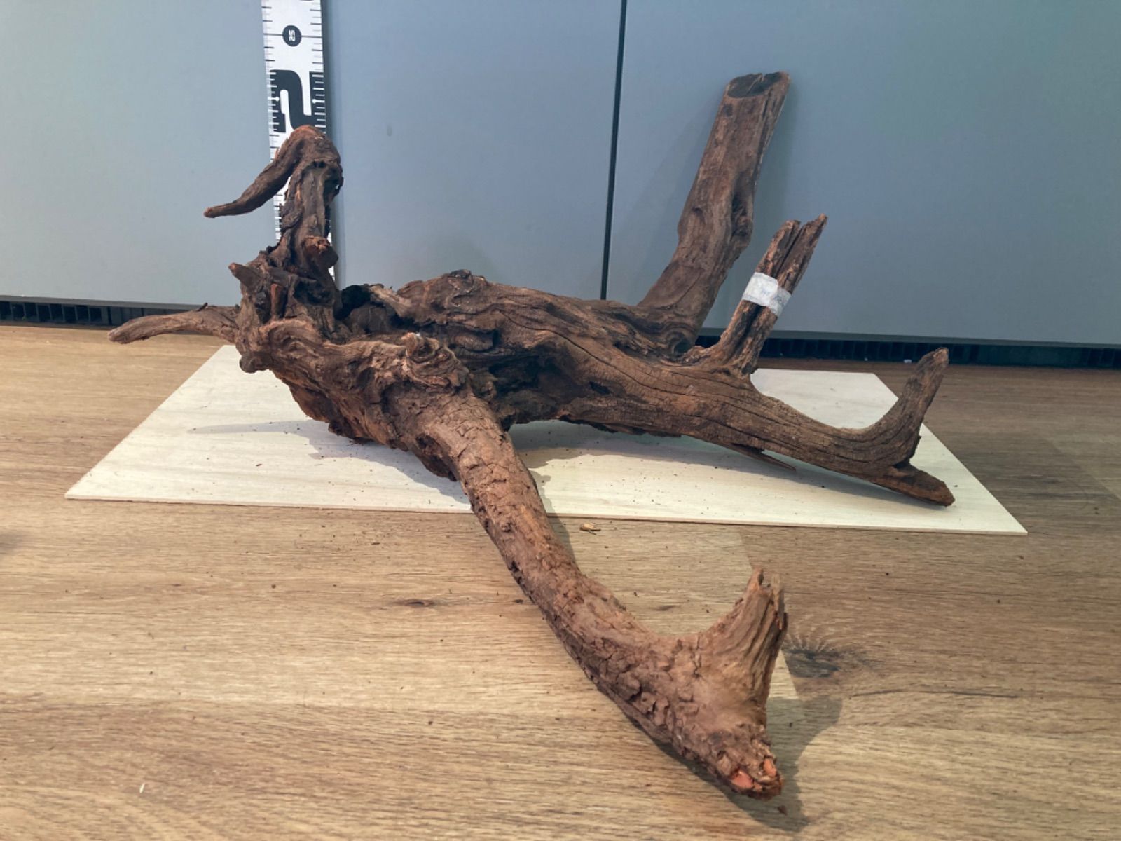 ホーンウッド系流木【セレクト】804 水草 おもり