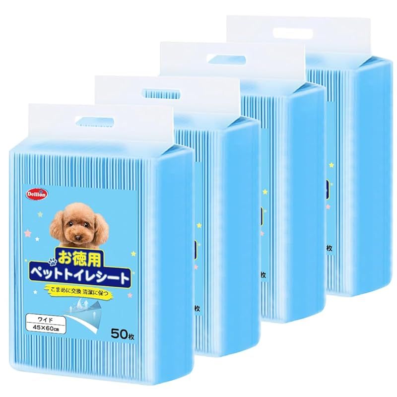 4号機サイバードラゴン スピーカーボリューム、コイン不要機、差枚