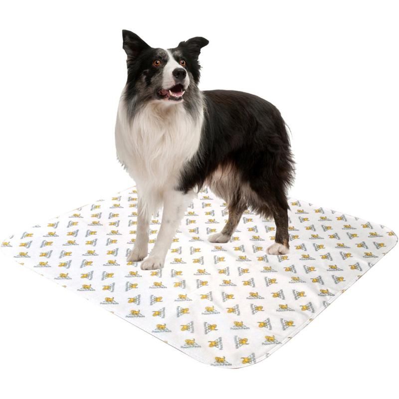 プーチパッド Lサイズ 2枚組 約76cm×81cm 犬柄の色は紫色になります