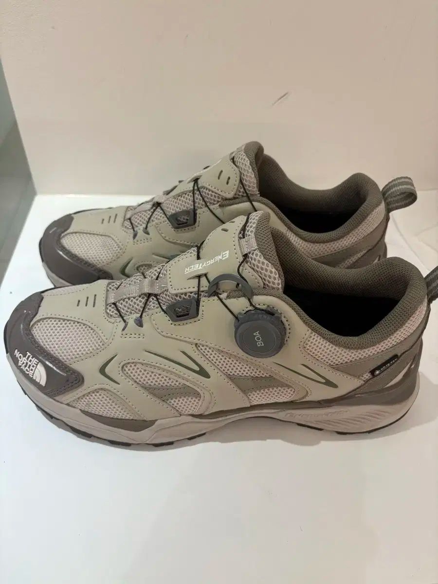 THE NORTH FACE ザノースフェイス エネルギーテック アルファ 3 0 GORE-TEX ゴアテックス 270