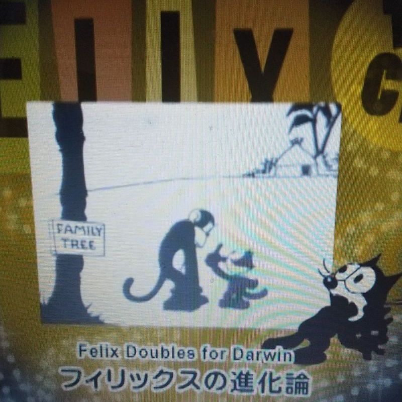 フィリックス FELIX DVD BOX 2枚組 - メルカリ