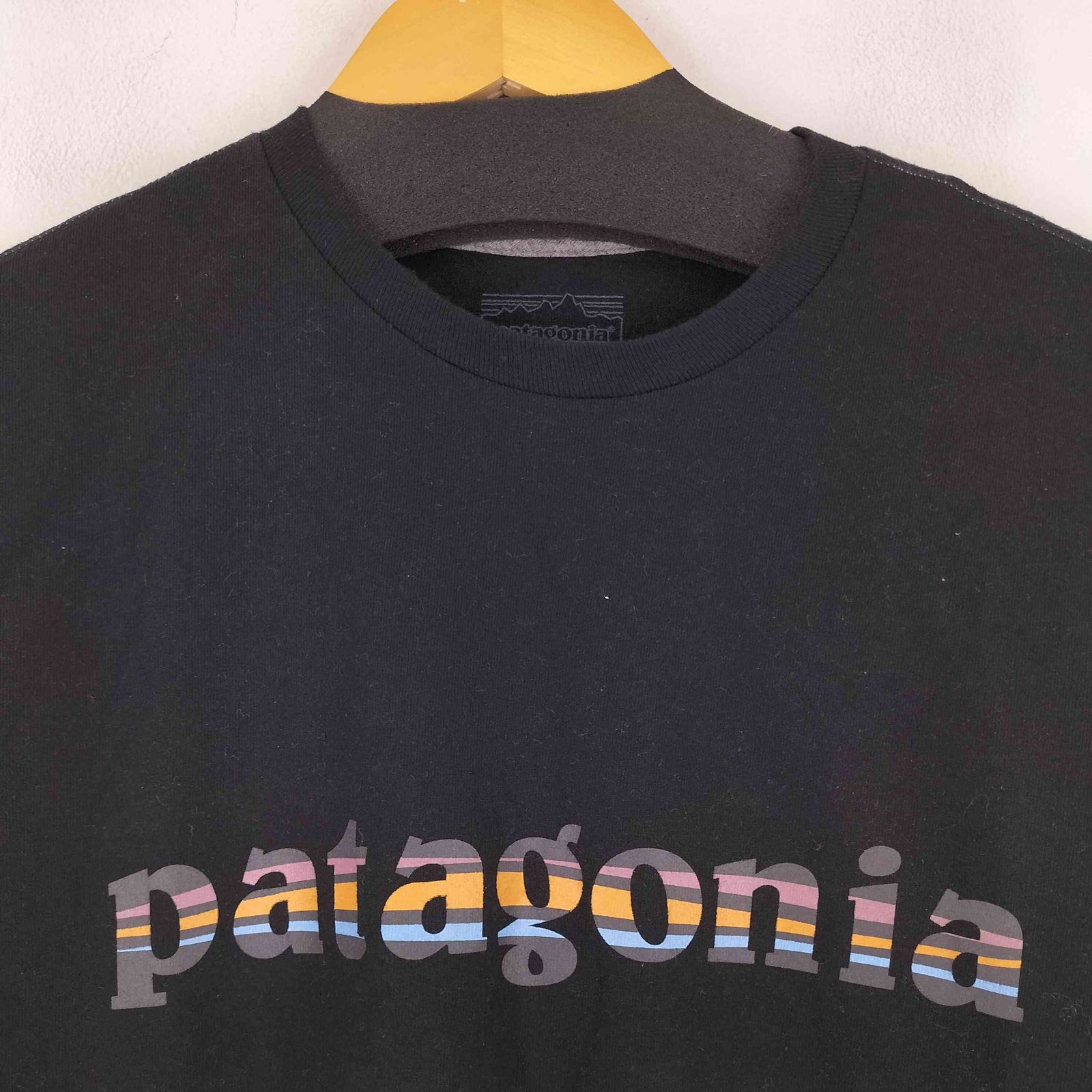 パタゴニア patagonia ロングスリーブ 73 テキスト ロゴ