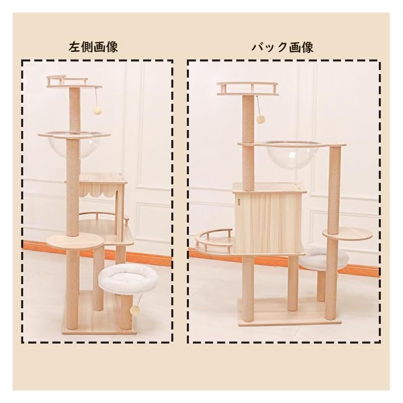 シニア