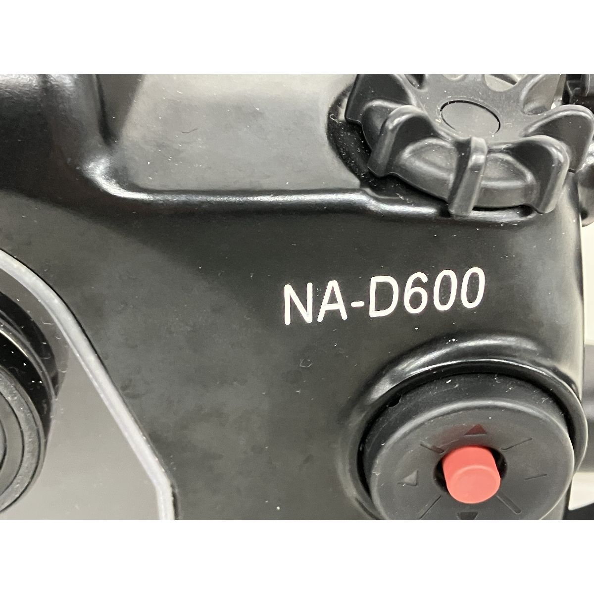 D 600