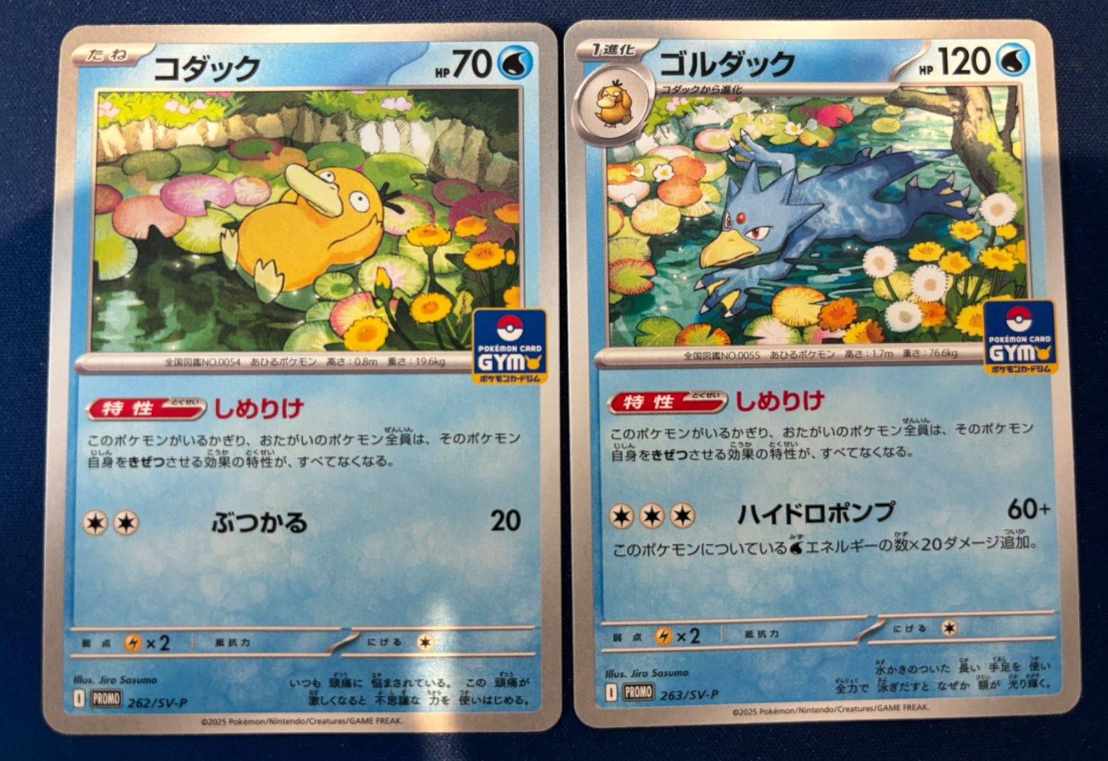 プロモ しめりけ コダック ゴルダック ポケモンカード｜Yahoo