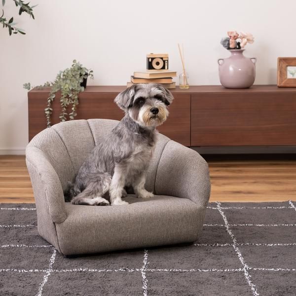 ペット用ソファ ペットチェア 椅子 シェル型 貝 イス 猫 ネコ 犬 イヌ ペット ベット リビング 玄関 おしゃれ かわいい インテリア 布地 クッション 厚み azm-pet-71