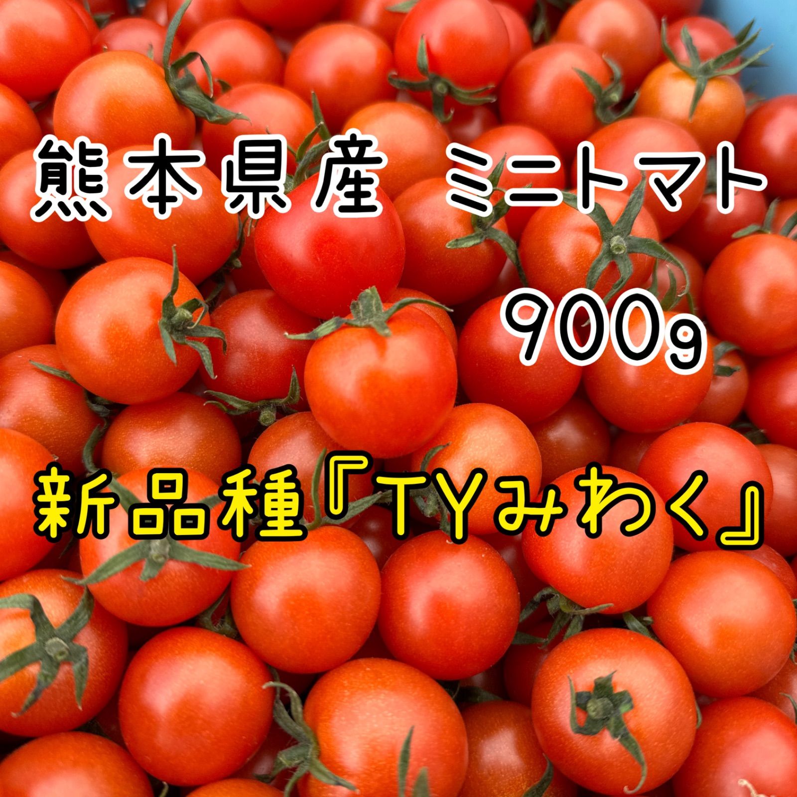 熊本県産ミニトマト「茜とまと3キロ」 - 野菜