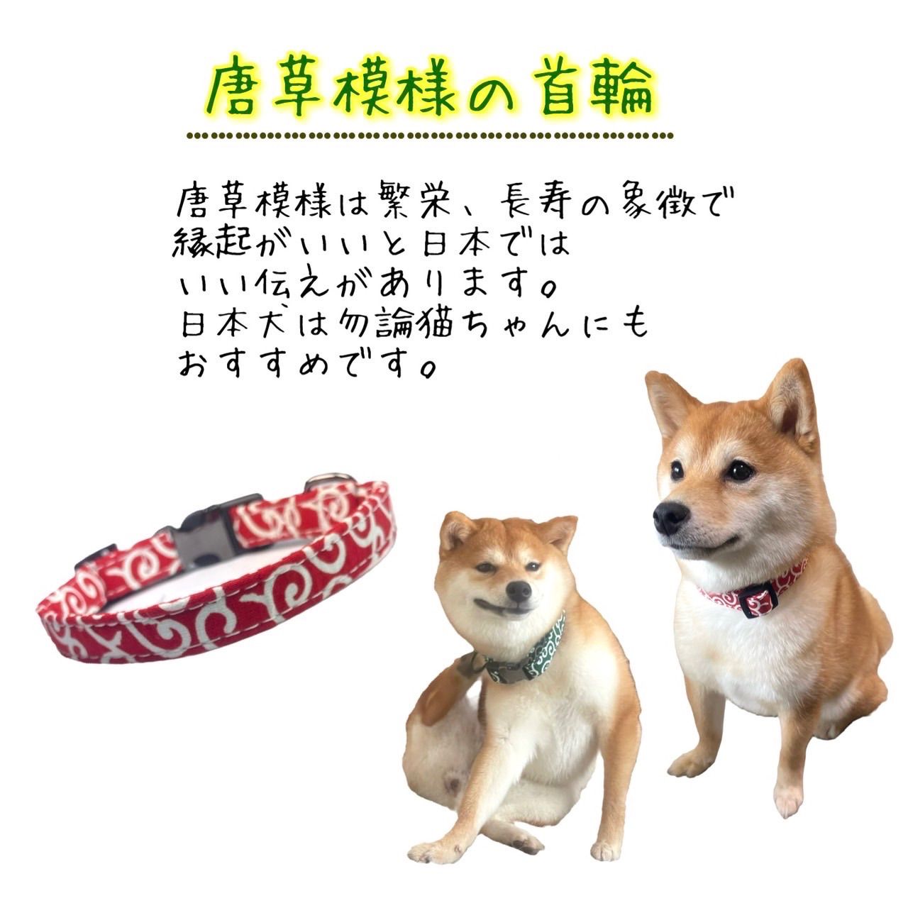ピンクのバニーワンピ ∞TuTu∞ 犬服 ハンドメイド オーダーメイド
