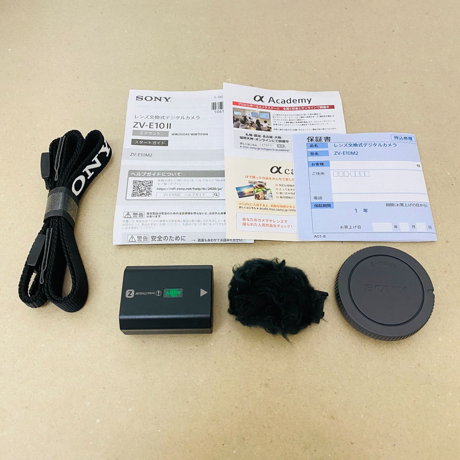 ZV-E10 II