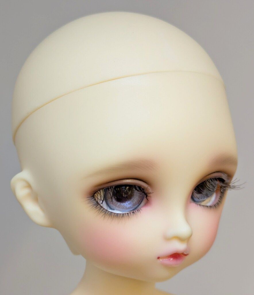 100%品質保証! ボークス 幼SD女の子 めぐとこまめ 京都へおいでやす