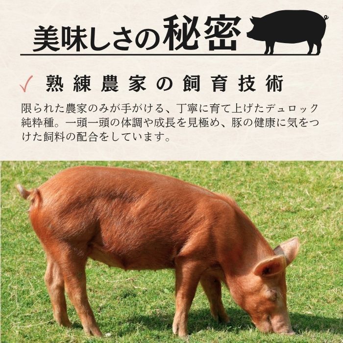 赤い豚 静岡県産 赤豚（デュロック種）小間肉 1kg - メルカリ