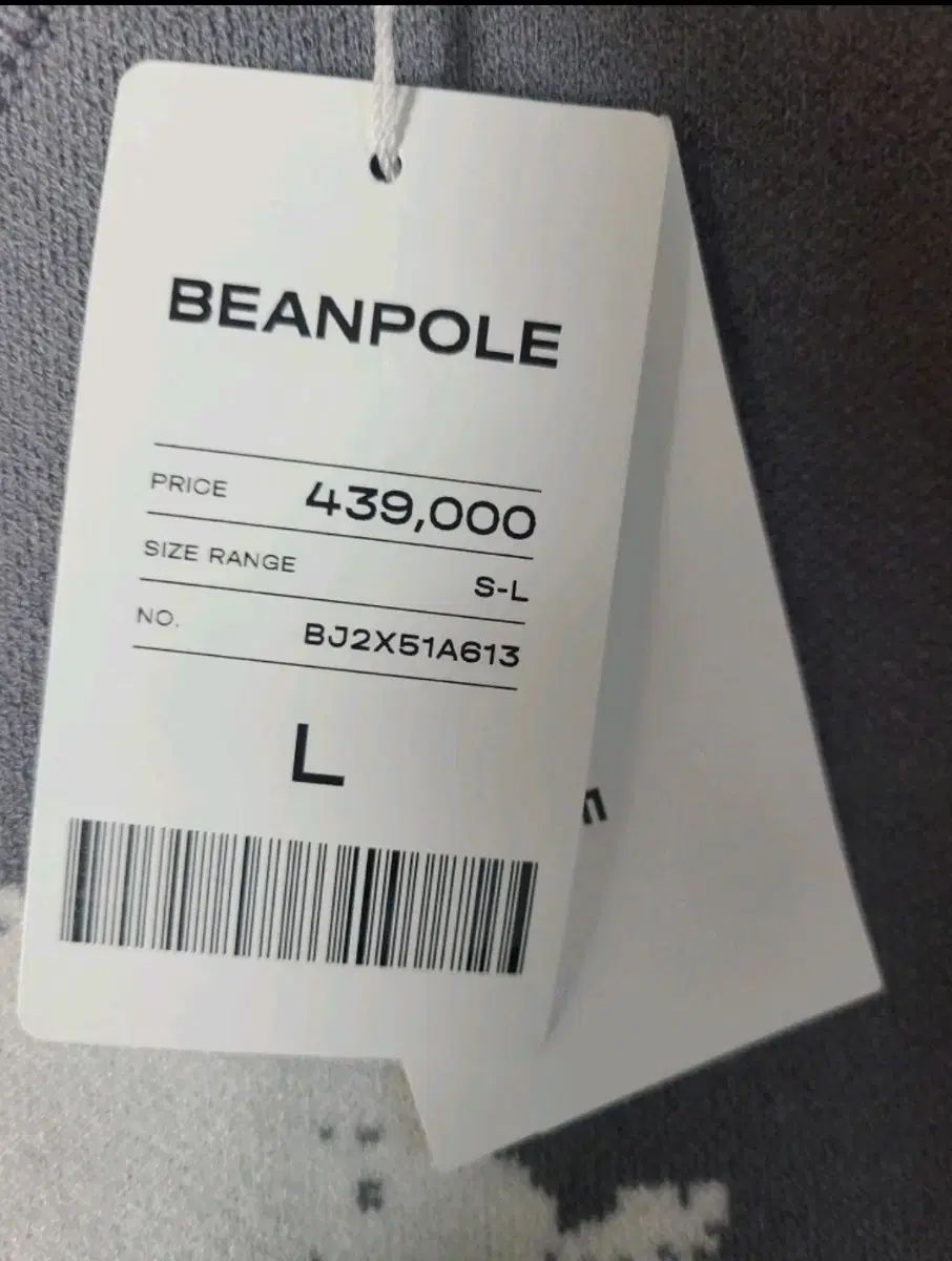 防風 グラフィック