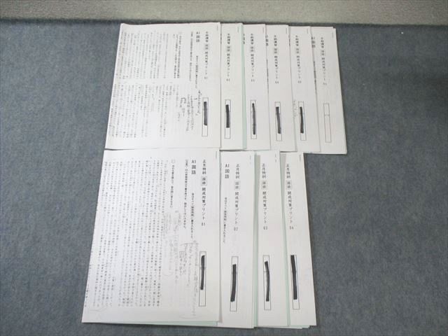 SAPIX 小6 サピックス 冬期講習/正月特訓 開成対策プリント 国語 【計10回分】 030S2D SAPIX 小6 サピックス 冬期講習/正月特訓 開成対策プリント 国語