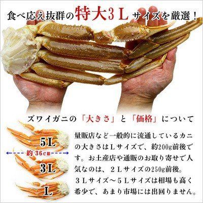 3Lサイズ