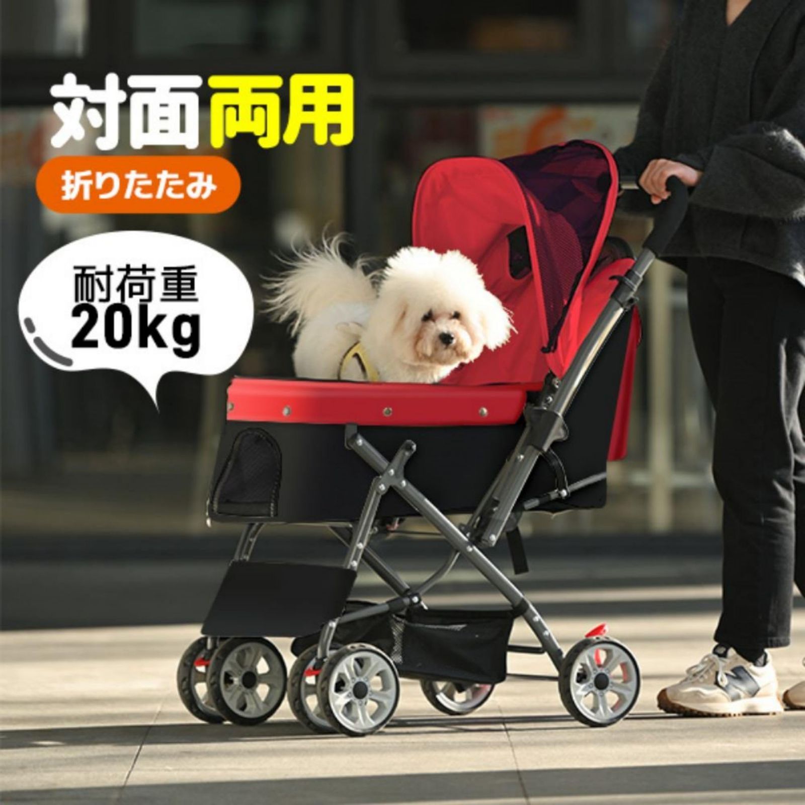 犬