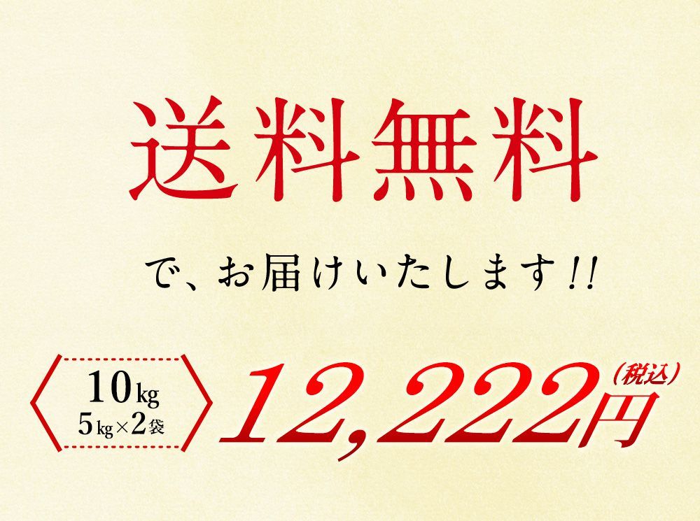令和7年産 こしひかり