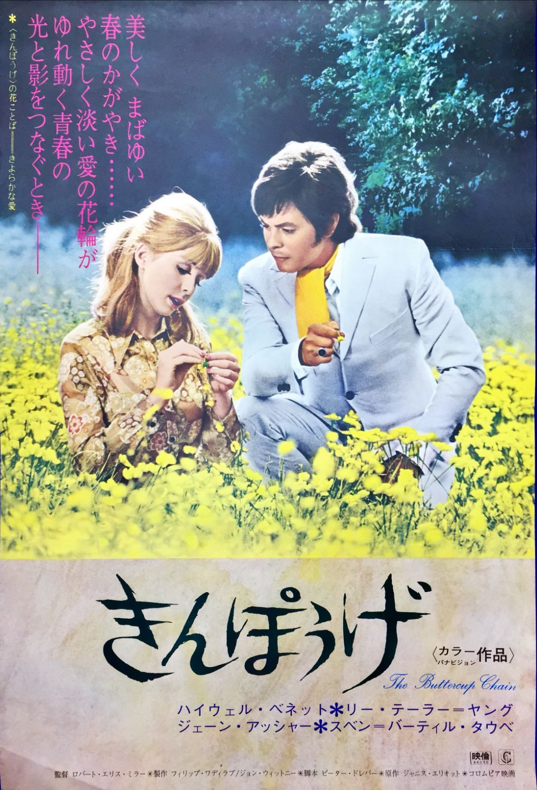 きんぽうげ 映画オリジナルB2判ポスター