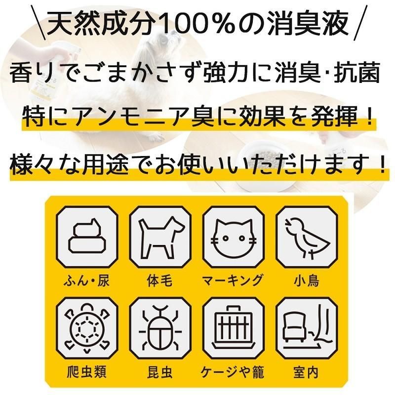4L 環境大善