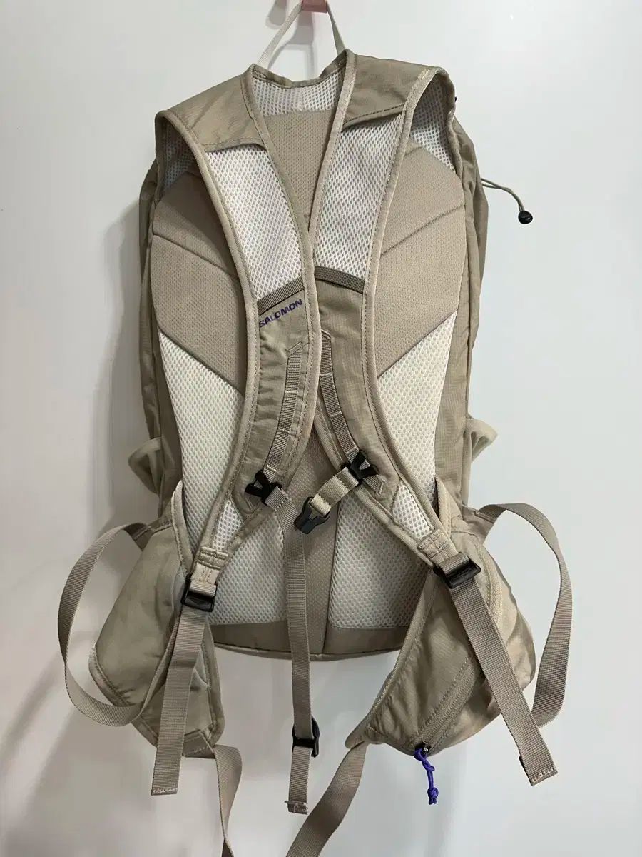 Salomon サロモン 20 トレイルブレイザー バックパック HRDEVELOPMENT_JP