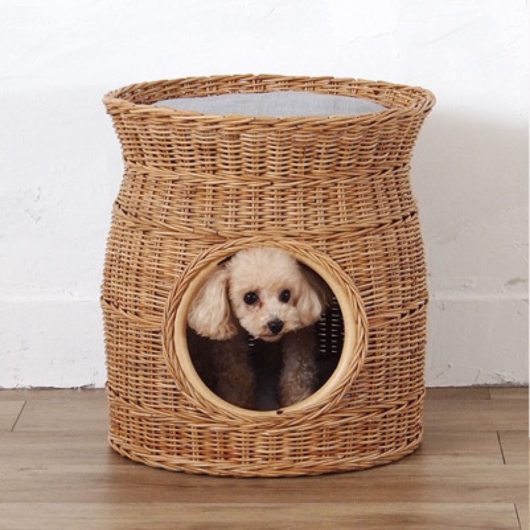 犬猫兼用 ペット用品