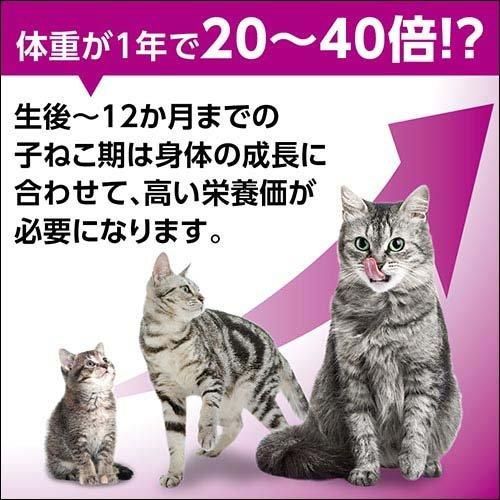 猫餌 ウェット