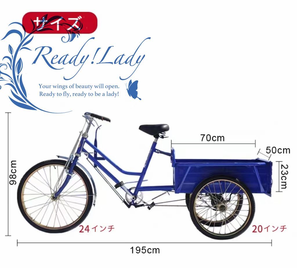 大人用貨物三輪車 前輪24インチ・後輪20インチ 耐荷重80kg ダブルブレーキ 三輪車 大容量 後カゴ付 - メルカリ