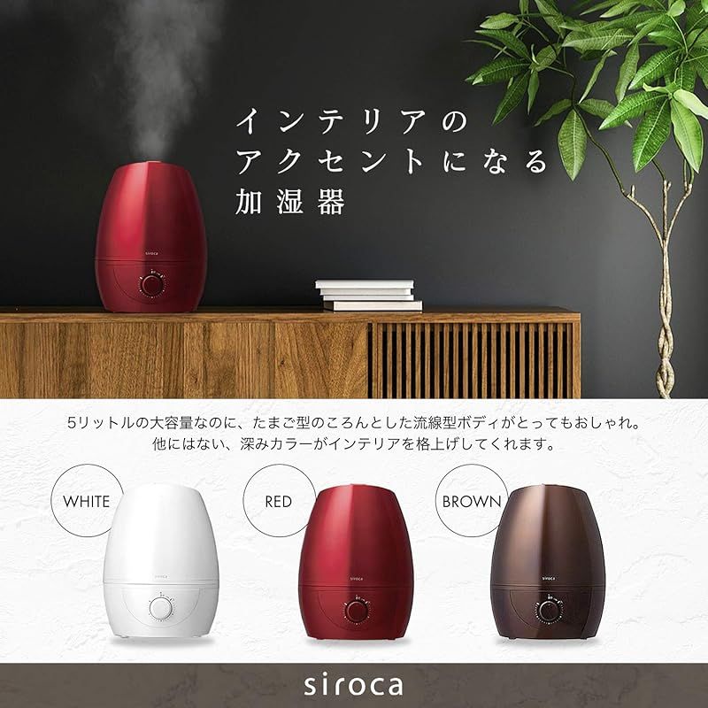 5L 超音波