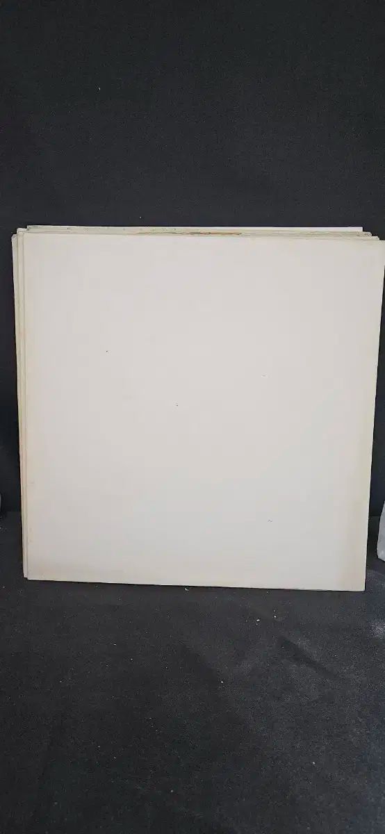 ドウォンギョン フロントガラスに リクライニング LP