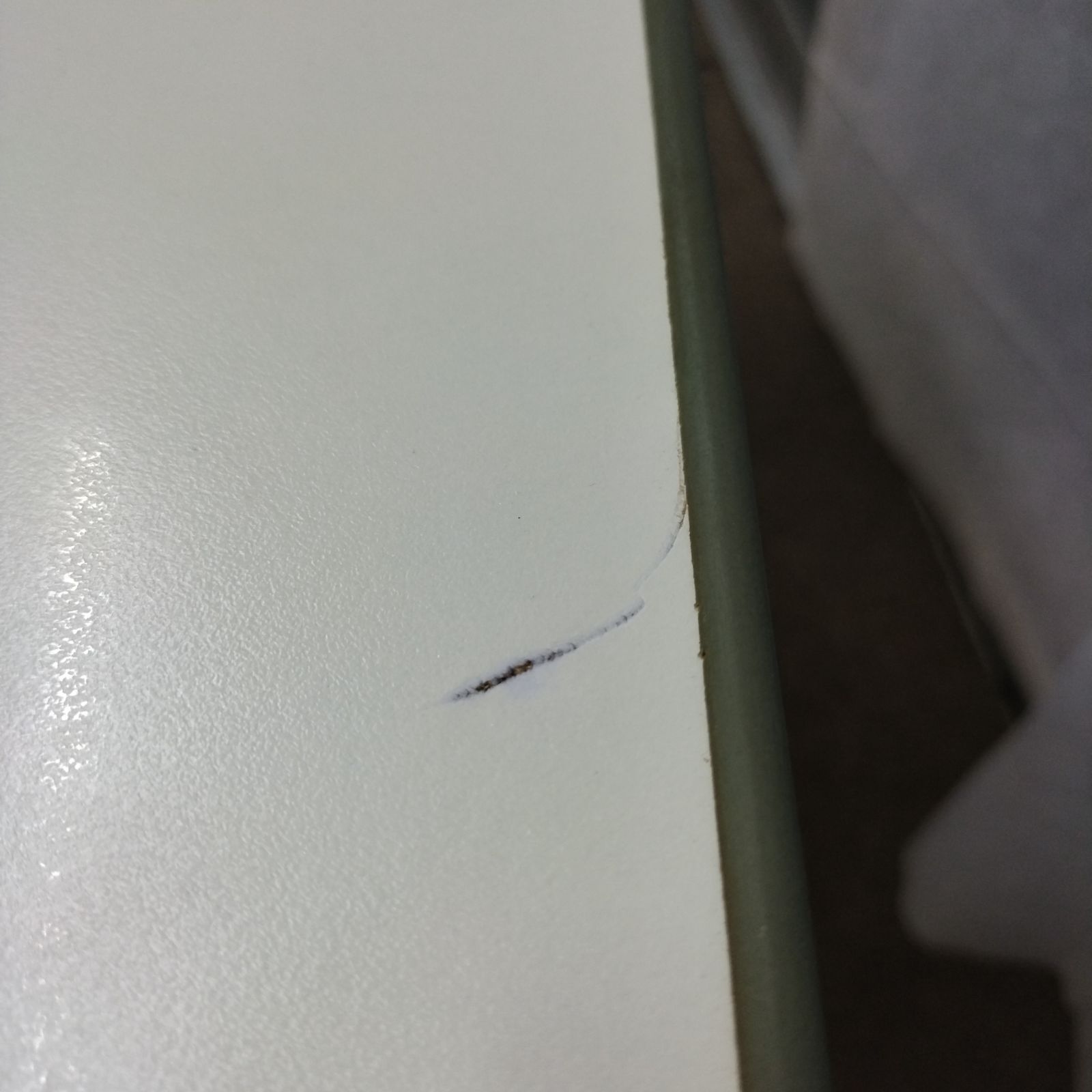 洗浄|消毒済